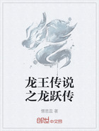 龙王传说之龙跃传在线阅读