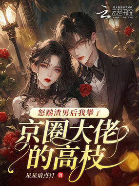 怀了京圈大佬的崽后,我失忆了在线阅读