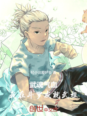 武魂气血，我在斗罗成就武祖在线阅读