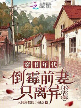 穿书年代，倒霉前妻只离异不丧偶在线阅读
