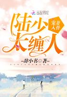 寵妻入骨：陸少，太纏人在線閱讀