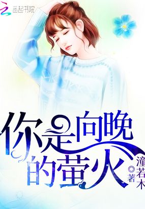 你是向晚的萤火在线阅读