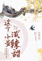 这个小妾泼辣甜在线阅读