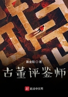 古董评鉴师在线阅读