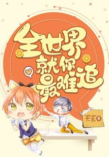 全世界就你最難追