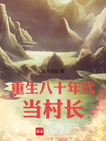 重生八十年代當(dāng)村長