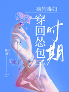 疯狗毒妇穿回怂包子时期在线阅读