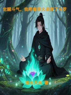 觉醒斗气,我带着异火杀穿了斗罗在线阅读