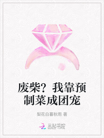 廢柴？我靠預制菜成團寵