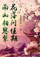 南山相思梨花落問佳期在線閱讀