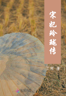 宋妃玲瓏傳