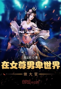 在女尊男卑世界做大官