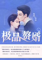 极品赘婿在线阅读