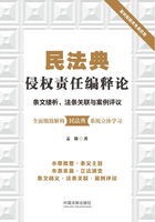 民法典侵权责任编释论：条文缕析、法条关联与案例评议