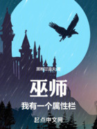 巫師：我有一個屬性欄在線閱讀