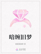 暗缠旧梦在线阅读