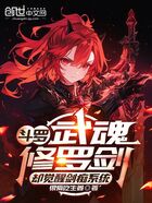 斗罗：武魂修罗剑却觉醒剑痴系统在线阅读