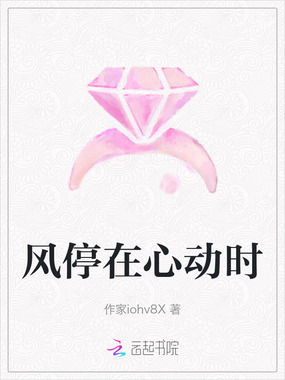风停在心动时在线阅读
