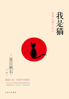 我是猫