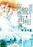 死鸳鸯，再相遇在线阅读
