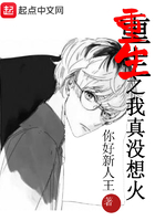 重生之我真沒想火在線閱讀