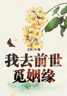 我去前世觅姻缘