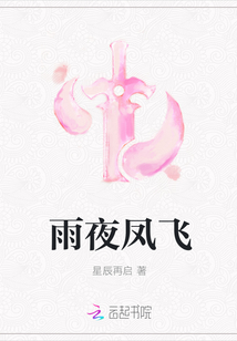 雨夜鳳飛