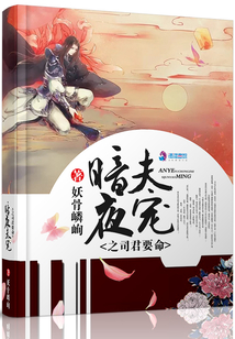 暗夜夫?qū)欀揪? class=