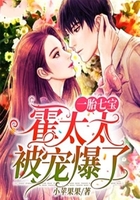 一胎七宝:霍太太被宠爆了