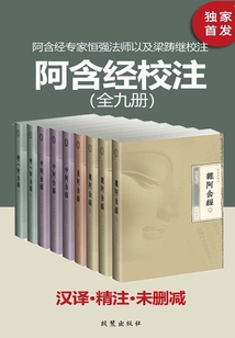阿含經(jīng)校注（全9冊）