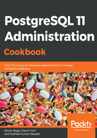PostgreSQL 11 Administration Cookbook在线阅读