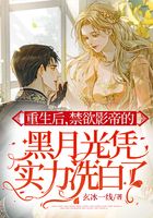 重生后,禁欲影帝的黑月光凭实力洗白了