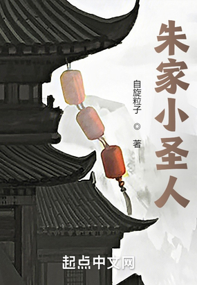 朱家小圣人在线阅读