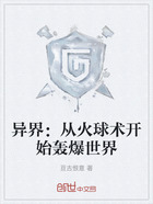 异界:从火球术开始轰爆世界在线阅读