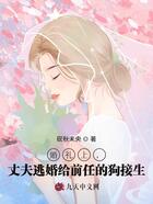 婚礼上，丈夫逃婚给前任的狗接生在线阅读