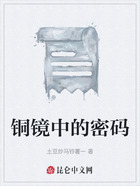 铜镜中的密码在线阅读