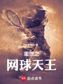 重燃之網球天王