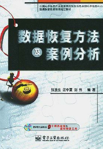 數據恢復方法及案例分析