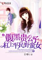 腹黑貴公子杠上平民野蠻女在線閱讀