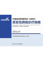 中国临床肿瘤学会(CSCO)原发性肺癌诊疗指南 2016.V1在线阅读