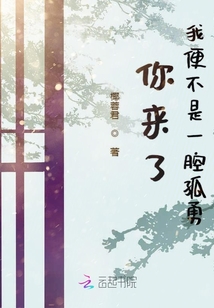 你來了我便不是一腔孤勇
