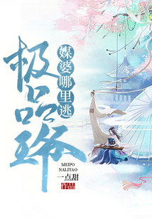 極品王爺：媒婆，哪里逃
