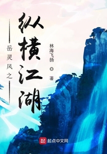 岳靈風(fēng)之縱橫江湖