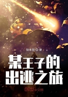 某王子的出逃之旅在线阅读