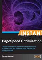 Instant PageSpeed Optimization在线阅读