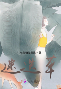 迷迭草