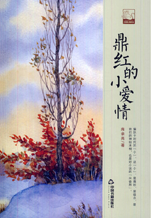 鼎紅的小愛情