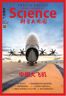 科學(xué)大觀園（2020年第16期）