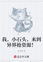 我，小石头，来到异界抢资源！在线阅读