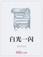 白光一闪在线阅读